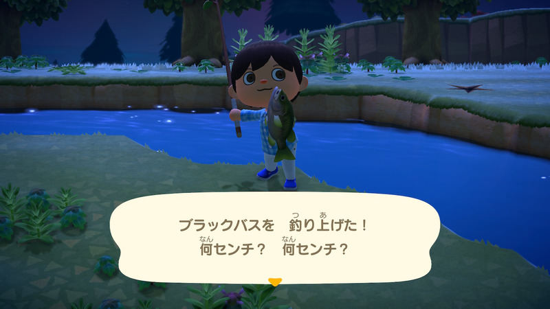 Switch あつ森 初めての虫取りに魚釣り 生き物図鑑コンプを目指す ゲームに漫画 時々看護師 Switch あつ森 初めての虫取りに魚釣り 生き物図鑑コンプを目指す ゲームに漫画 時々看護師