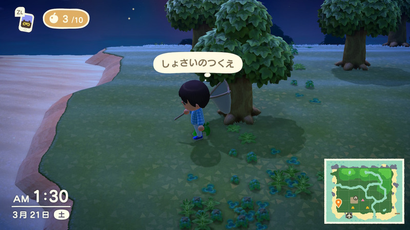 Switch あつ森 初めての虫取りに魚釣り 生き物図鑑コンプを目指す ゲームに漫画 時々看護師
