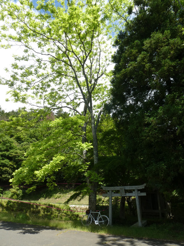山と海と鉄 再訪_d0383596_23362645.jpg