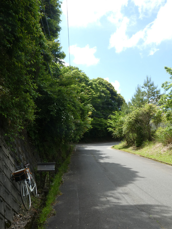 山と海と鉄 再訪_d0383596_23362691.jpg
