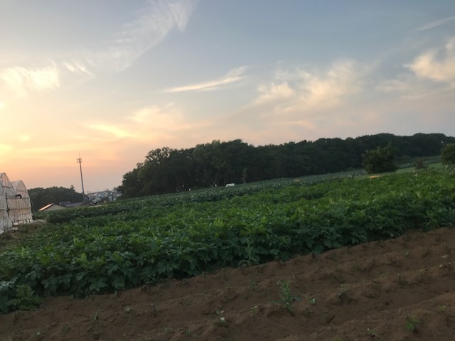 夕陽につられて。。_f0242002_22494079.jpg