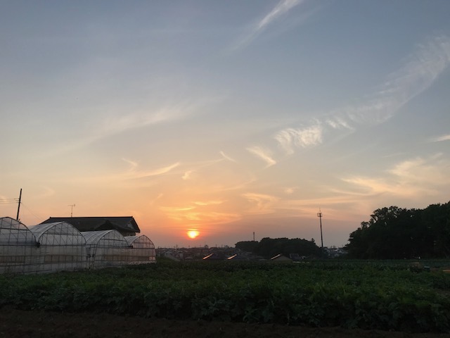 夕陽につられて。。_f0242002_22494778.jpg