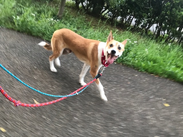 夕陽につられて。。_f0242002_22582060.jpg