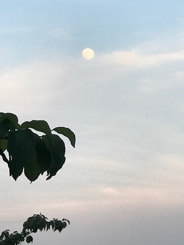 夕陽につられて。。_f0242002_22585540.jpg