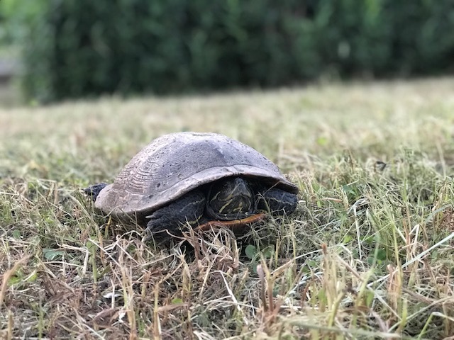 夕陽につられて。。_f0242002_23003920.jpg