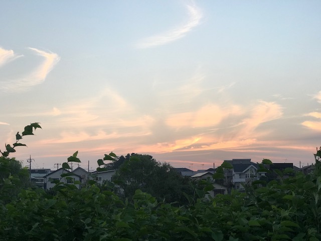 夕陽につられて。。_f0242002_23004815.jpg
