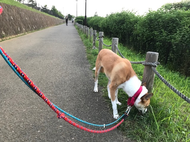 夕陽につられて。。_f0242002_23033232.jpg