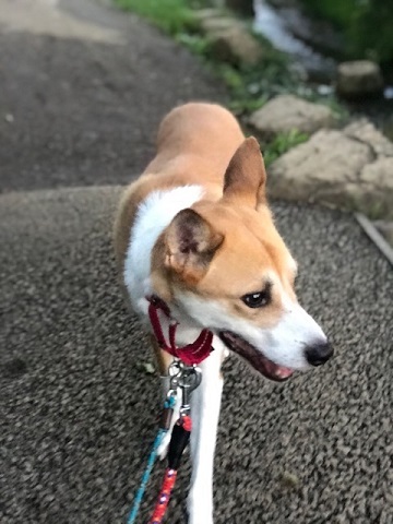夕陽につられて。。_f0242002_23034808.jpg