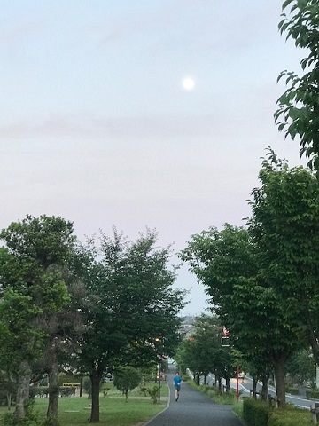 夕陽につられて。。_f0242002_23043832.jpg