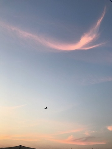 夕陽につられて。。_f0242002_23044669.jpg
