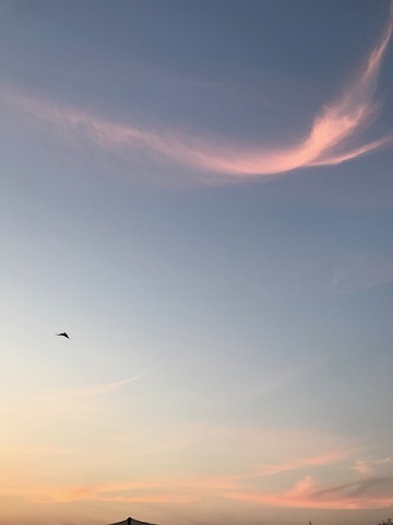 夕陽につられて。。_f0242002_23045431.jpg