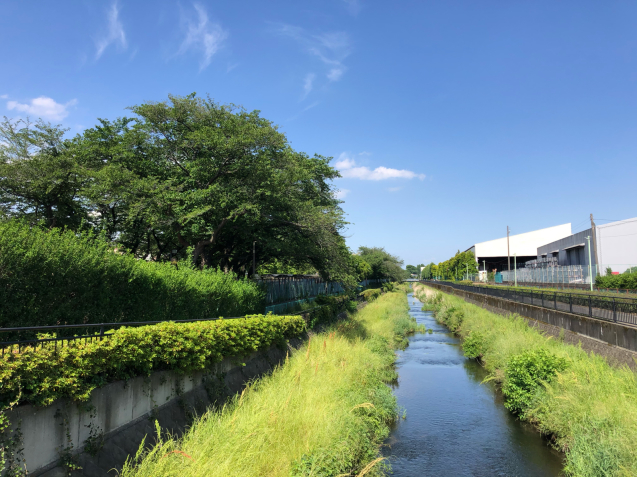 教会までの道のり_e0061304_21443939.jpg