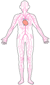 Gore ブーツ ブーツ Meduse メデュース のファッション シューズ Side Meduse メデュース のブーツ Meduse United Meduse 高級高品質ブランド