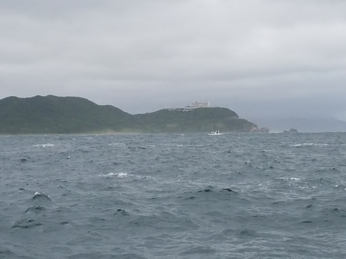 師崎より初海釣_e0198329_15052153.jpg