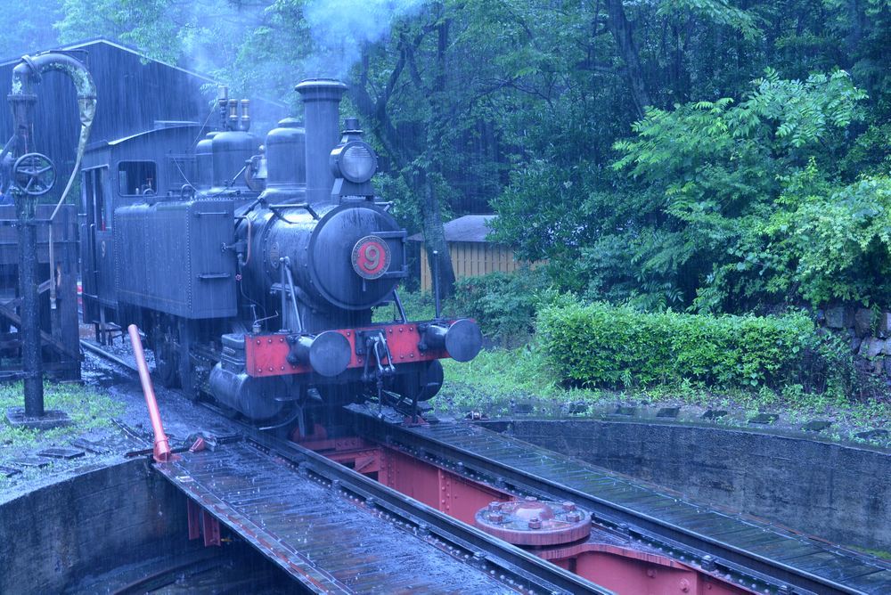 梅雨の9号機関車1_e0373930_19053216.jpg