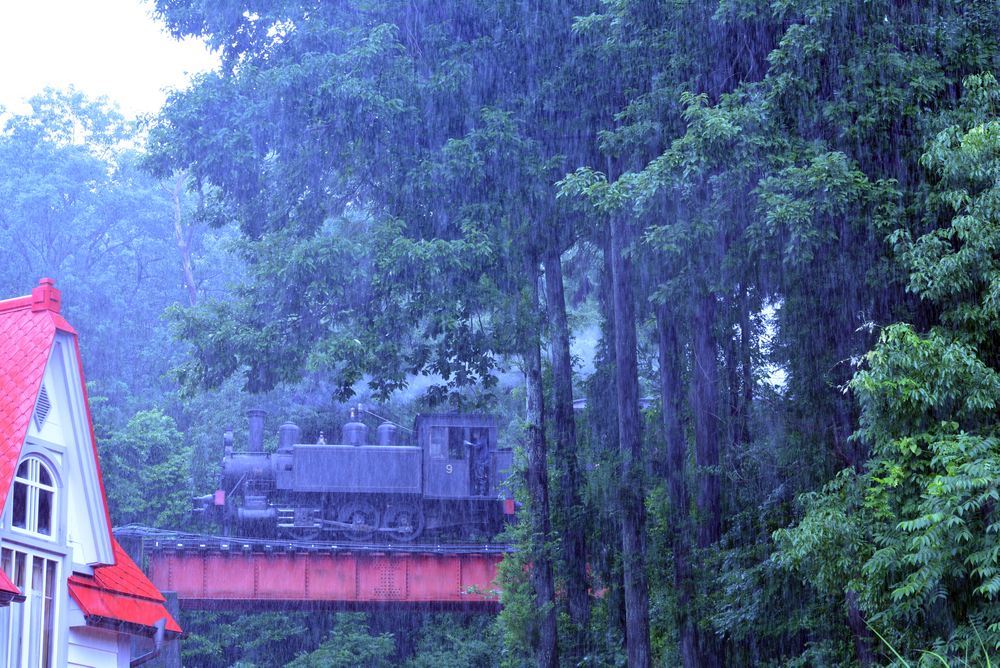 梅雨の9号機関車1_e0373930_19060235.jpg