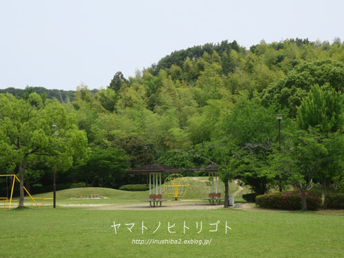 晴耕雨読_e0394031_04564421.jpg