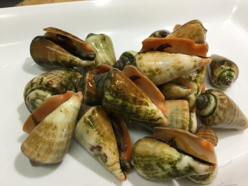 お久し振りですね チャンバラ貝 さん 鹿児島市の魚専門店 満田商店です