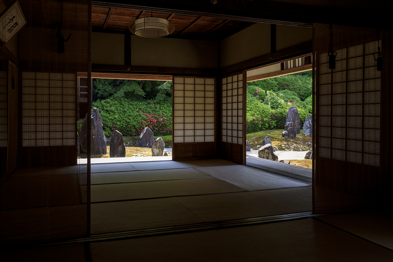 サツキ咲く光明院_f0155048_23552357.jpg