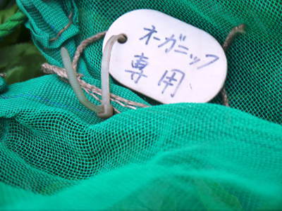 菊池水源茶 令和2年度の茶摘みの様子!こだわりの有機栽培のお茶の茶摘みを取材しました!_a0254656_15323527.jpg