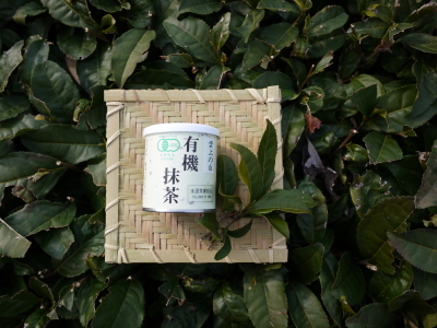 菊池水源茶 令和2年度の茶摘みの様子!こだわりの有機栽培のお茶の茶摘みを取材しました!_a0254656_16220741.jpg