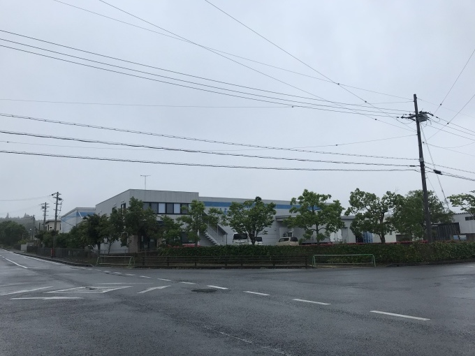 梅雨とアジサイ_b0100062_07250503.jpeg