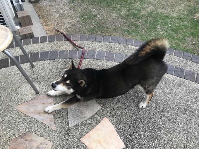梅雨とアジサイ_b0100062_07280966.jpeg