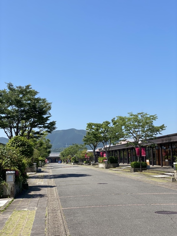 1616 /arita Japan(百田陶園)_c0366777_10200506.jpeg