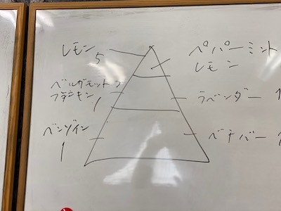 教室実習2日目 アロマで清しい家に_a0191183_06495738.jpeg
