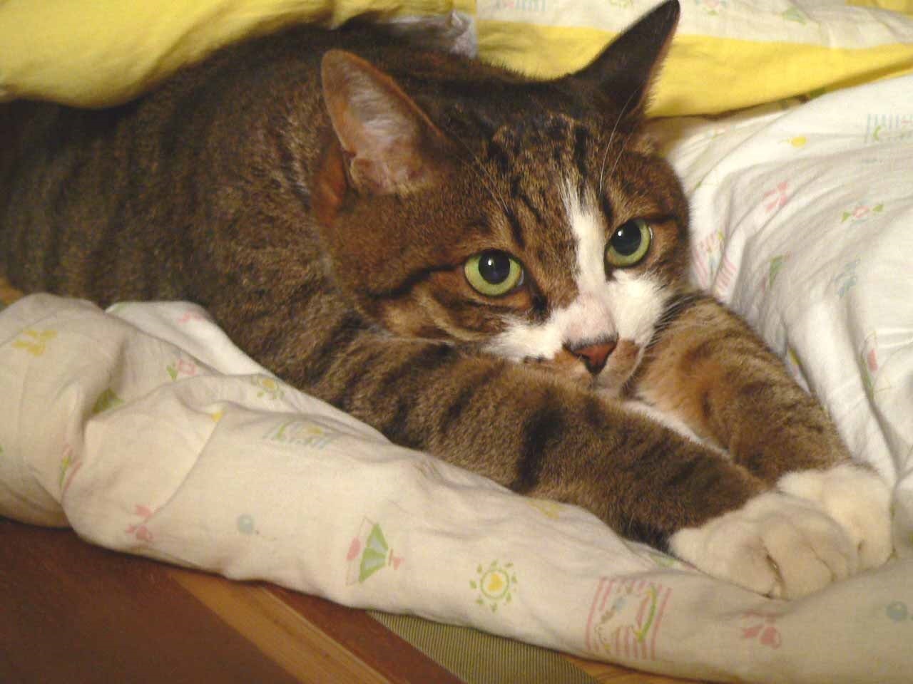 ミラクルなサプライズ_a0333195_21000299.jpg