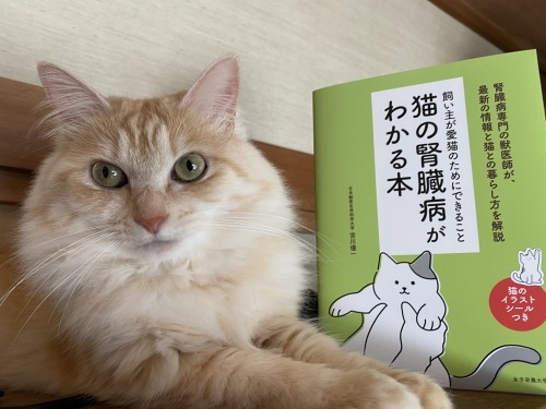 『猫の腎臓病がわかる本』宮川優一著を読んで_d0122797_16462039.jpg