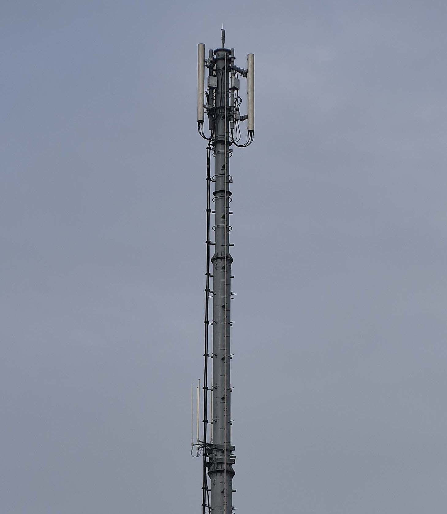 D750_c0095801_06564755.jpg