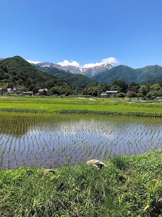 目に青葉山ほととぎす初鰹 ずっとそばに