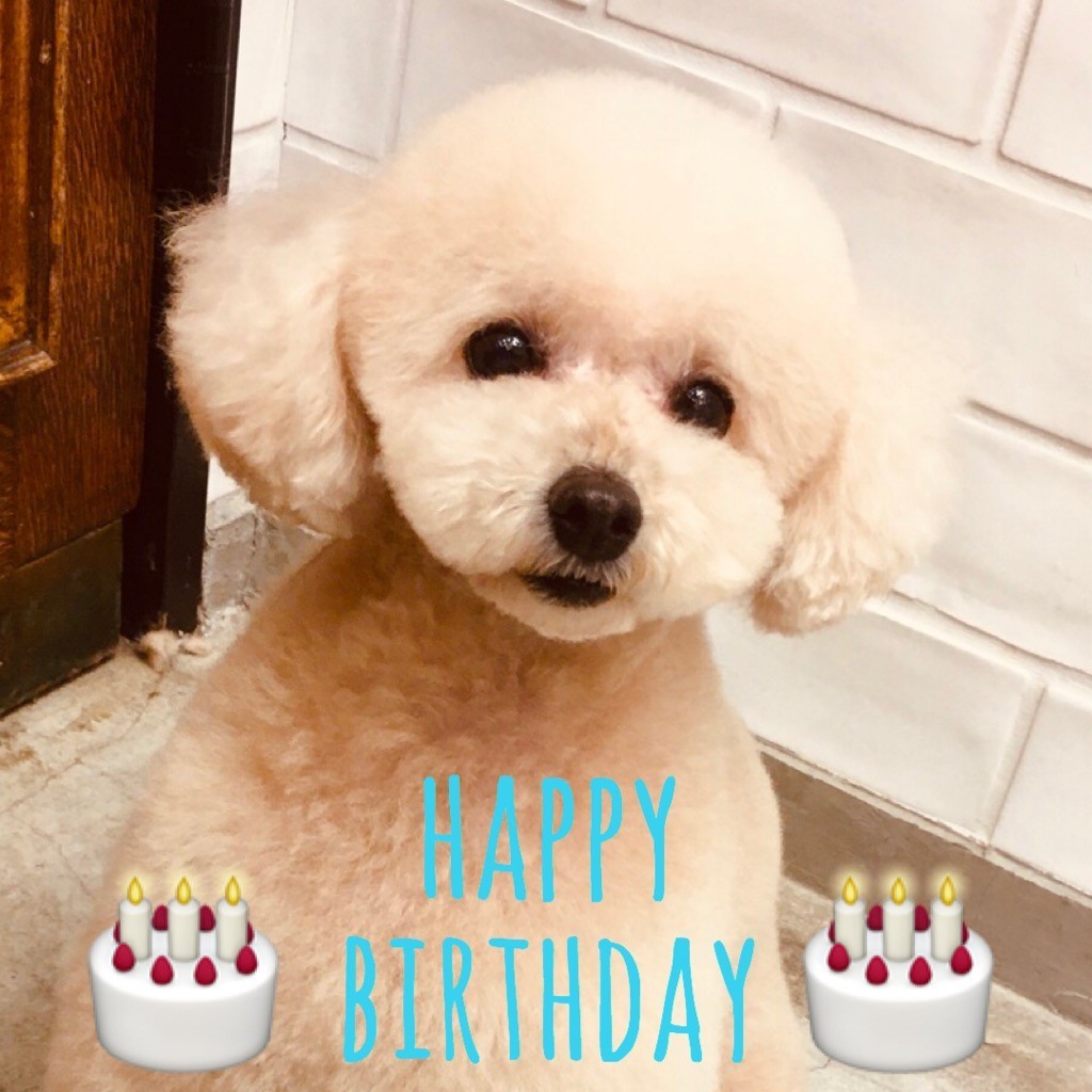 ☆ Happy Birthday ・ 龍之介くん ☆_d0060413_17053966.jpg