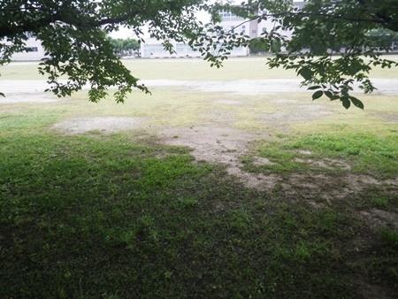 こんなにも風景が変わるなんて・・_b0312424_07565761.jpg