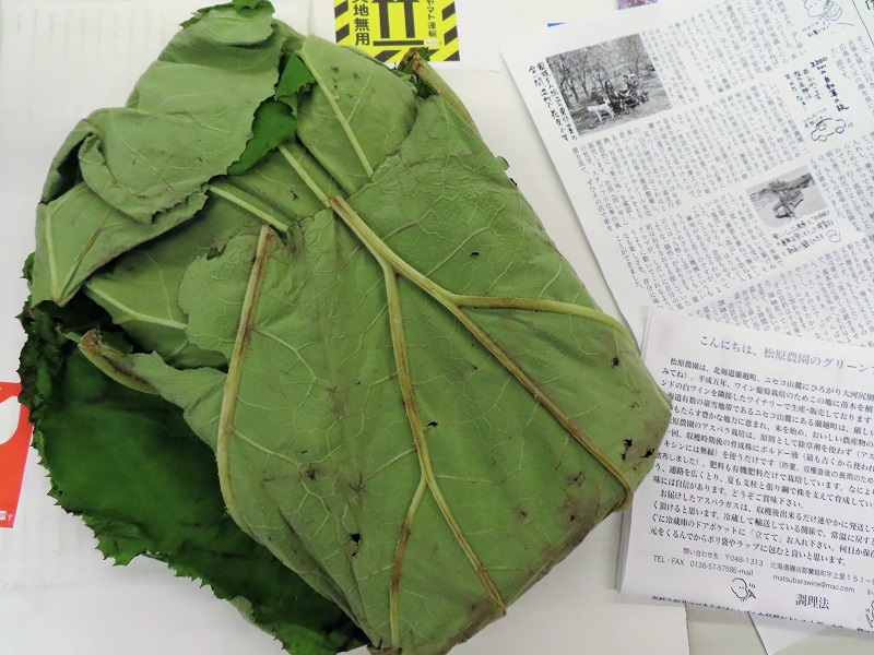 フォレスターと素敵なアスパラガス_f0076731_16335156.jpg