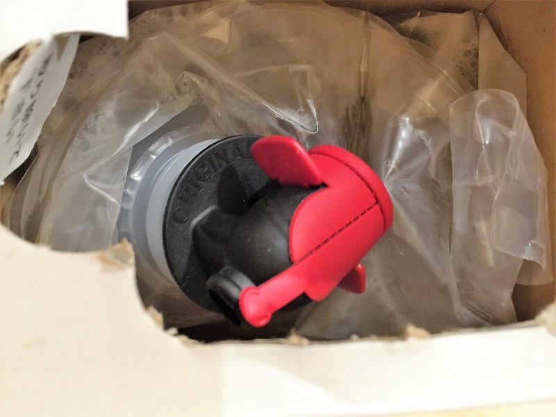 フォレスターと素敵なアスパラガス_f0076731_16342213.jpg