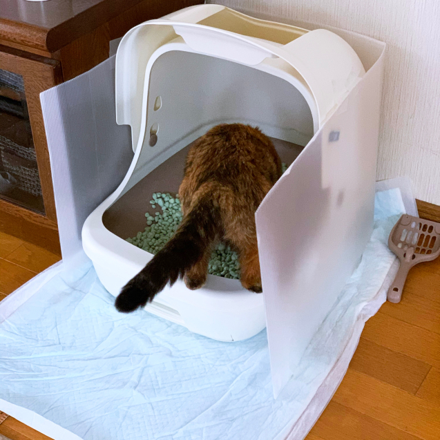 おトイレの細工。_d0355333_22453652.jpg