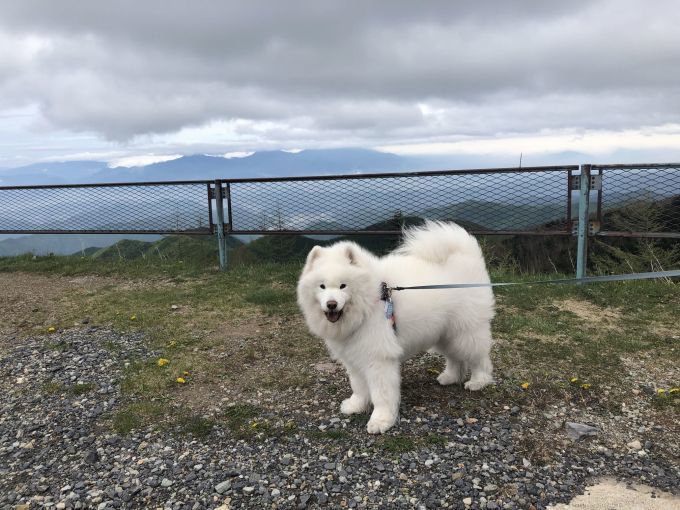 2020年6月山梨旅行_f0128542_00264942.jpg