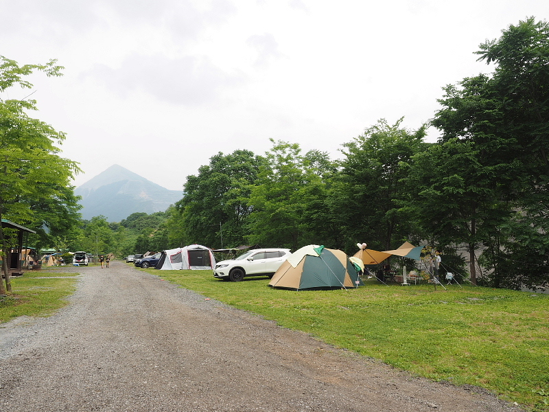 【リバーサイト、涙の復活！】巴川オートキャンプ場、台風直後画像とともに_b0008655_13062986.jpg