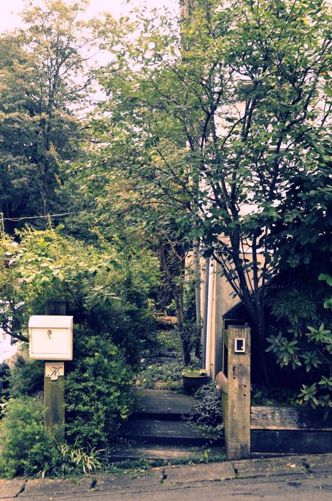 「藤田佳三展 空山人を見ず」ありがとうございました。_d0087761_1737364.jpg