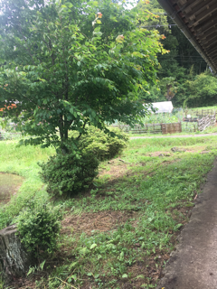 梅雨入り_f0363168_09343875.png