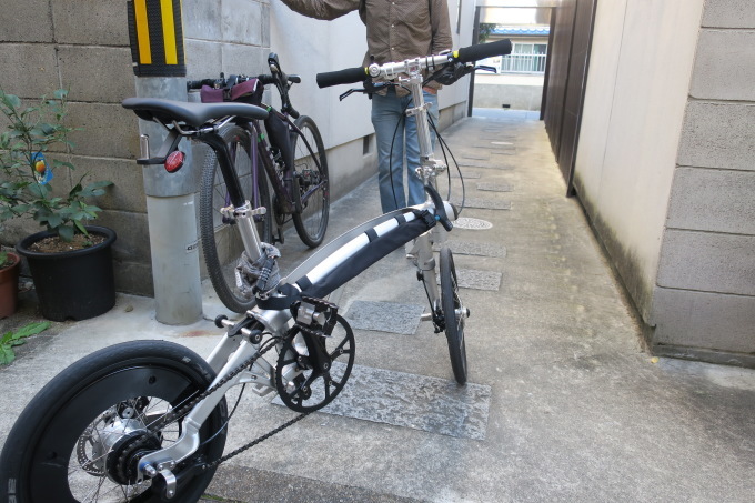 イルカの話 2。_e0149587_06030122.jpeg