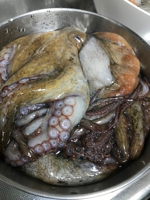 明石のタコ_f0204295_15583911.jpg