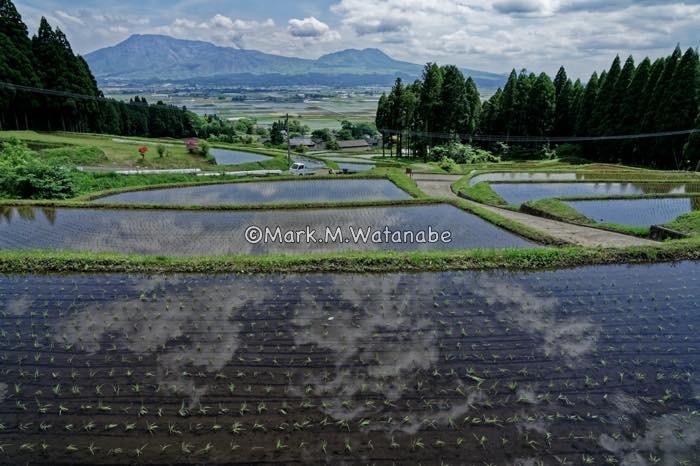 阿蘇水掛の棚田_e0135098_08370015.jpg