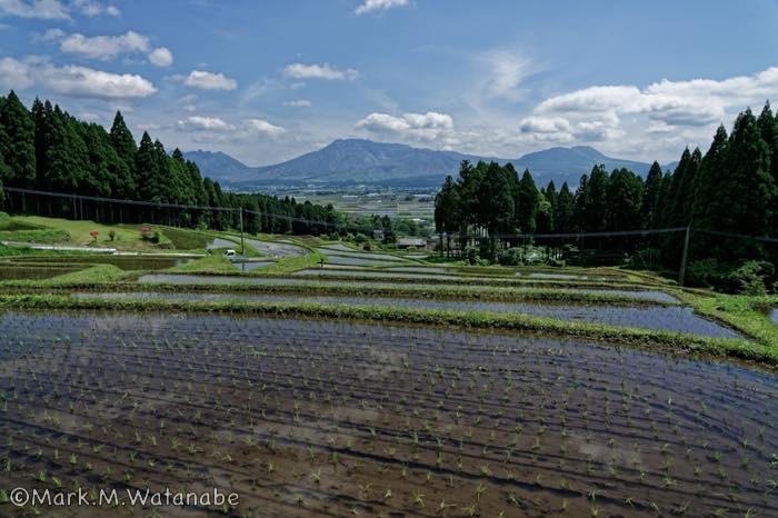 阿蘇水掛の棚田_e0135098_08372161.jpg
