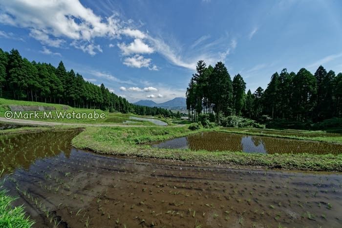 阿蘇水掛の棚田_e0135098_08374332.jpg