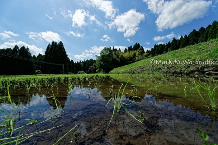 阿蘇水掛の棚田_e0135098_08375483.jpg