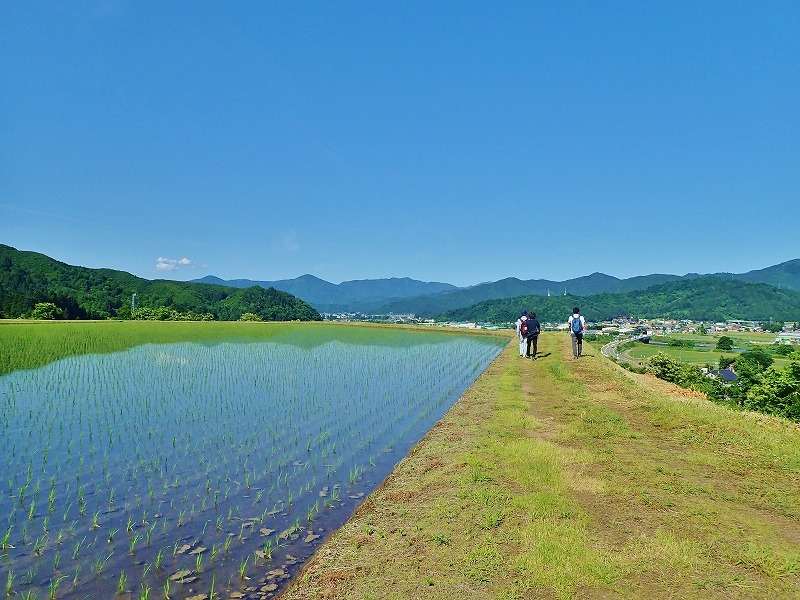 先週の一枚から ⑤_c0336902_19090057.jpg