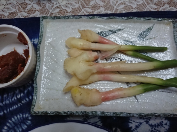 6/14夕飯 サッポロクラシック夏の爽快2020、豆乳割り、味の素生姜ギョーザ、カルボナーラ豆腐、葉生姜@自宅_b0042308_00521053.jpg